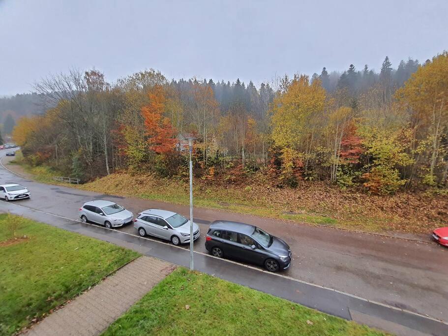 Two-Bedroom Apartment Near Triberg Waterfall Triberg im Schwarzwald Exterior foto